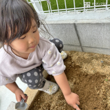 記念樹植樹の様子