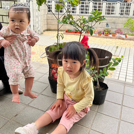 記念樹と記念撮影②
