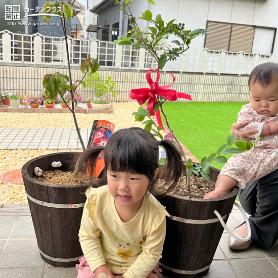 記念樹と記念撮影④