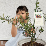 記念樹と記念撮影