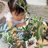 記念樹植樹の様子