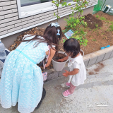 記念樹植樹の様子