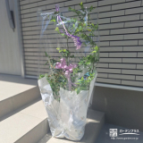 記念樹のブルーベリー