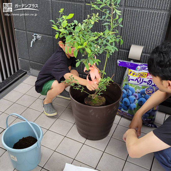 記念樹植樹の様子