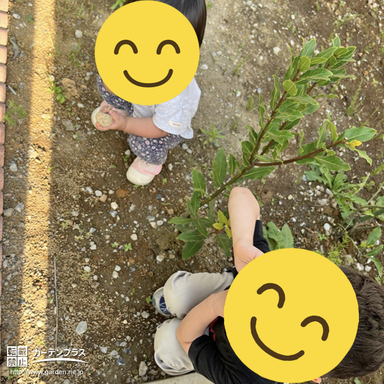 記念樹と記念撮影②