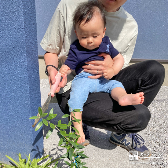 記念樹植樹の様子