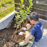 記念樹植樹の様子
