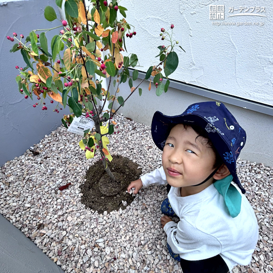 記念樹植樹の様子④