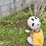 記念樹植樹の様子