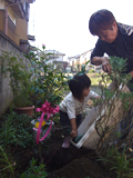 埼玉県南埼玉郡宮代町ゆずの植樹風景