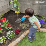 記念樹植樹の様子①