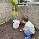 記念樹植樹の様子