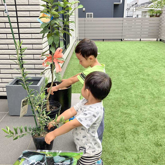 記念樹植樹の様子