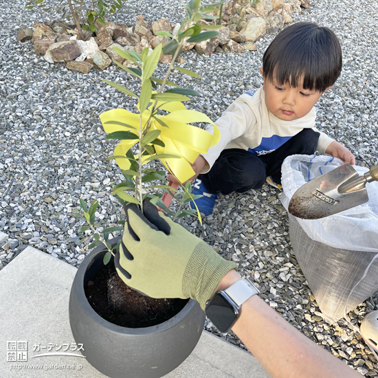 記念樹植樹の様子①