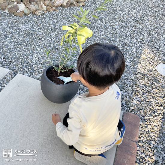 記念樹植樹の様子