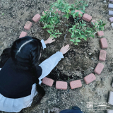 記念樹植樹の様子