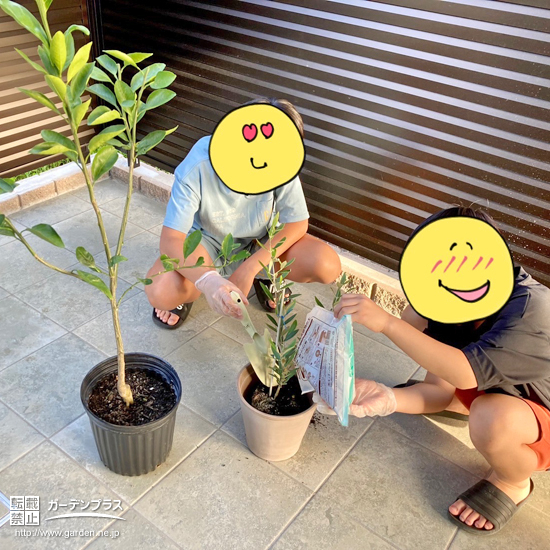 記念樹植樹の様子