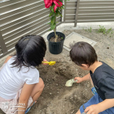 記念樹植樹の様子①