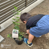 記念樹植樹の様子②