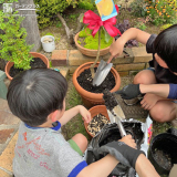 記念樹植樹の様子