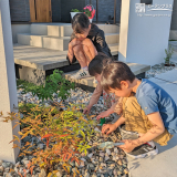 記念樹植樹の様子