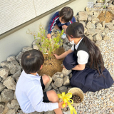 記念樹植樹の様子