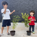 記念樹と記念撮影