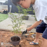 記念樹植樹の様子①