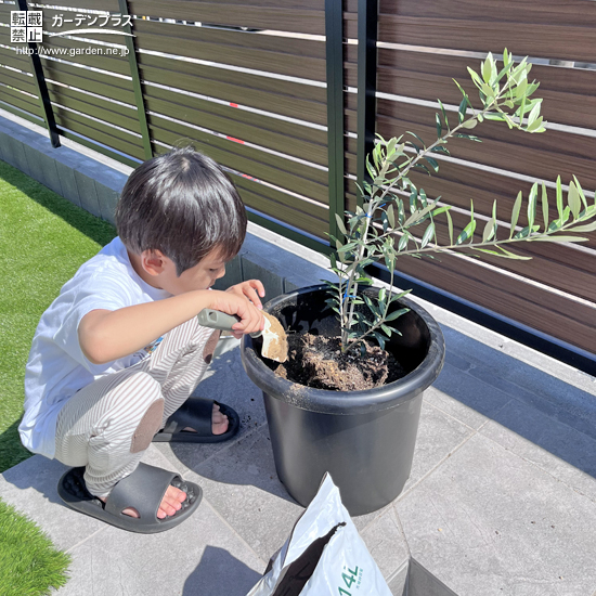 記念樹植樹の様子