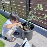 記念樹植樹の様子
