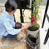 記念樹植樹の様子