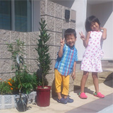 岡山県倉敷市月桂樹（ローリエ）とキンカンの植樹風景
