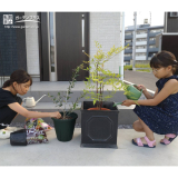記念樹植樹の様子