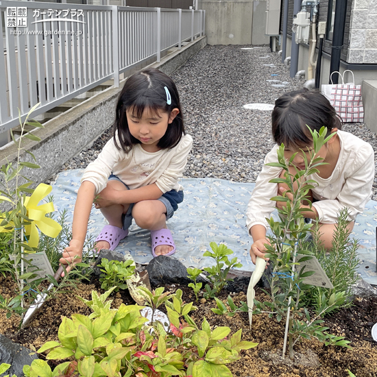 記念樹植樹の様子