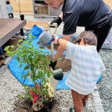 記念樹植樹の様子①