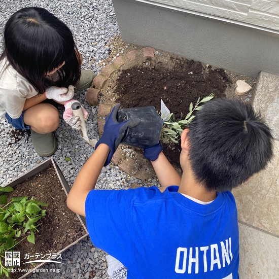 記念樹植樹の様子