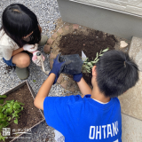 記念樹植樹の様子