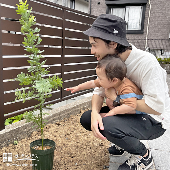 記念樹と記念撮影①
