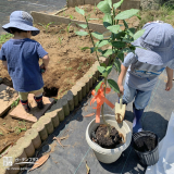 記念樹植樹の様子
