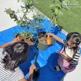 記念樹植樹の様子
