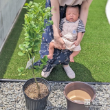 記念樹と記念撮影①