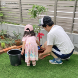 記念樹植樹の様子