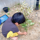 記念樹植樹の様子