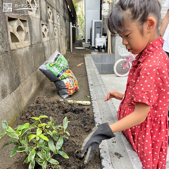 記念樹植樹の様子