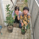 記念樹と記念撮影