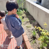 記念樹と記念撮影①
