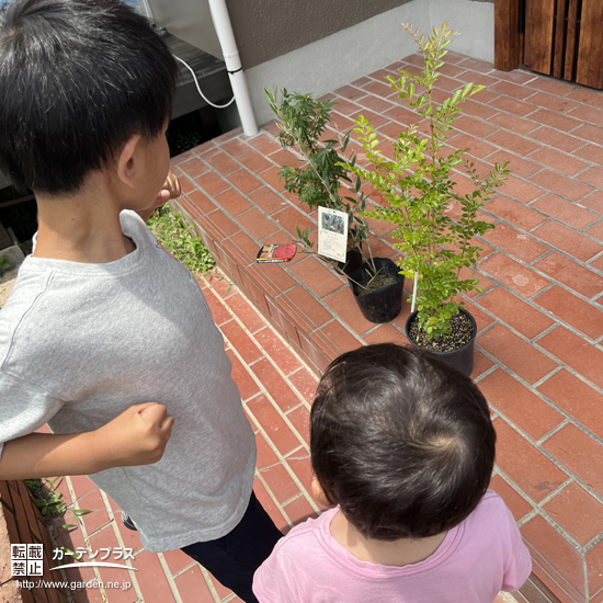 記念樹と記念撮影②