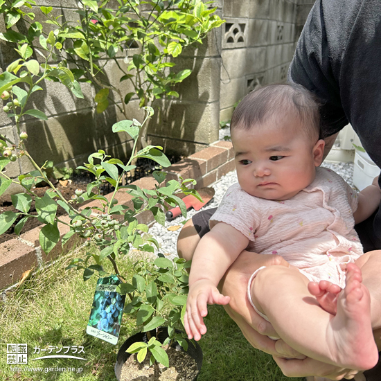 記念樹と記念撮影②