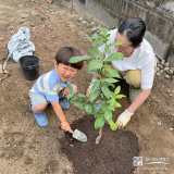 記念樹植樹の様子