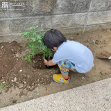 記念樹植樹の様子